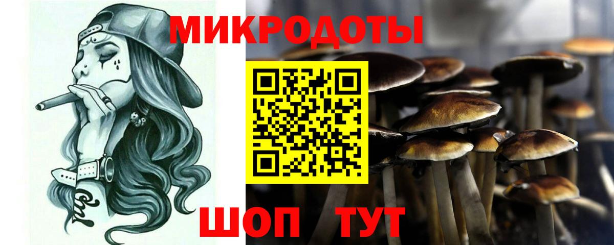купить наркотик  Вход с VPN  Коряжма  Псилоцибиновые грибы Cubensis 